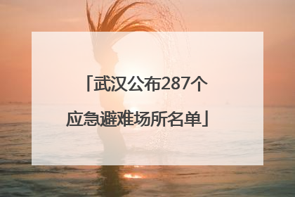 武汉公布287个应急避难场所名单