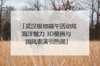 武汉极地端午活动炫海洋魅力 3D壁画与国风表演引热潮