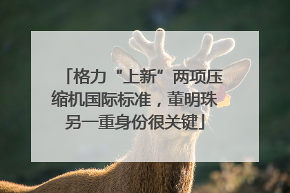 格力“上新”两项压缩机国际标准，董明珠另一重身份很关键
