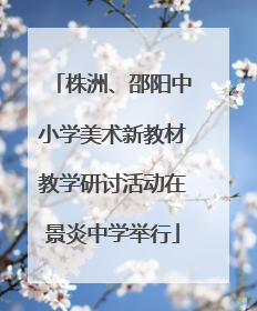 株洲、邵阳中小学美术新教材教学研讨活动在景炎中学举行