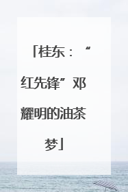 桂东：“红先锋”邓耀明的油茶梦