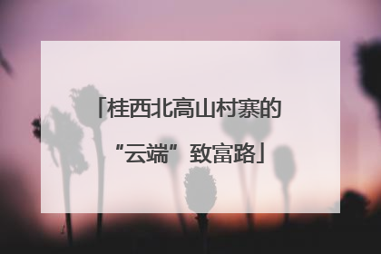 桂西北高山村寨的“云端”致富路
