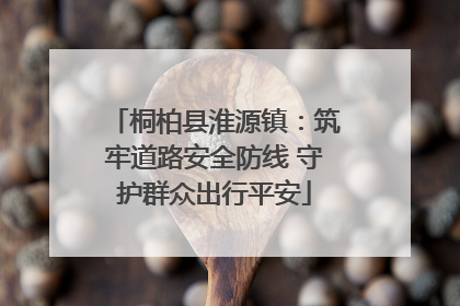 桐柏县淮源镇：筑牢道路安全防线 守护群众出行平安