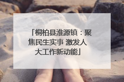 桐柏县淮源镇：聚焦民生实事 激发人大工作新动能