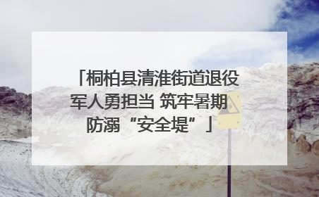 桐柏县清淮街道退役军人勇担当 筑牢暑期防溺“安全堤”