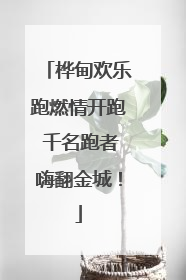 桦甸欢乐跑燃情开跑 千名跑者嗨翻金城！