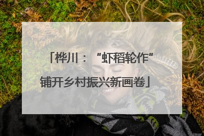 桦川：“虾稻轮作”铺开乡村振兴新画卷