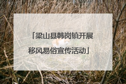 梁山县韩岗镇开展移风易俗宣传活动