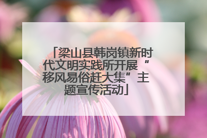梁山县韩岗镇新时代文明实践所开展“移风易俗赶大集”主题宣传活动