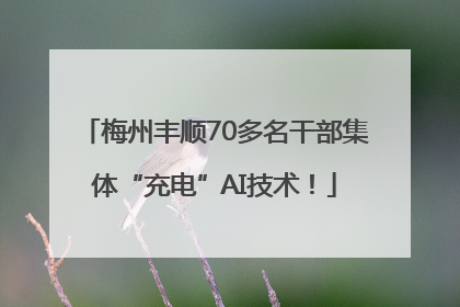 梅州丰顺70多名干部集体“充电”AI技术！