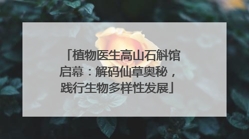 植物医生高山石斛馆启幕：解码仙草奥秘，践行生物多样性发展