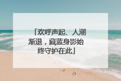 欢呼声起、人潮渐退，藏蓝身影始终守护在此