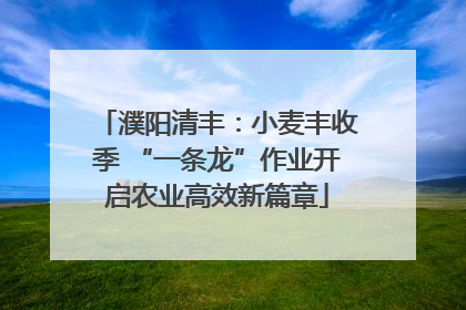濮阳清丰：小麦丰收季 “一条龙”作业开启农业高效新篇章