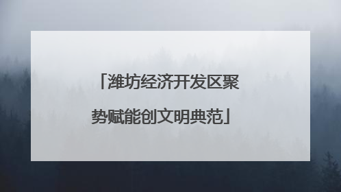 潍坊经济开发区聚势赋能创文明典范