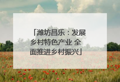 潍坊昌乐：发展乡村特色产业 全面推进乡村振兴