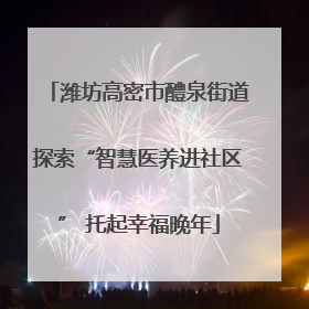 潍坊高密市醴泉街道探索“智慧医养进社区” 托起幸福晚年