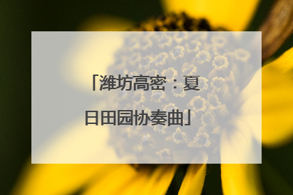 潍坊高密：夏日田园协奏曲