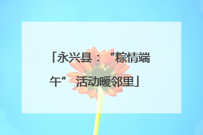 永兴县：“粽情端午” 活动暖邻里