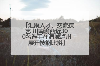 汇聚人才、交流技艺 川南渝西近300名选手在酒城泸州展开技能比拼
