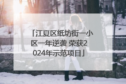 江夏区纸坊街一小区一年逆袭 荣获2024年示范项目