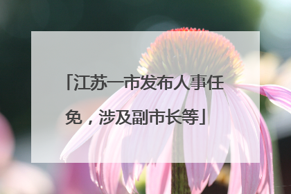 江苏一市发布人事任免，涉及副市长等