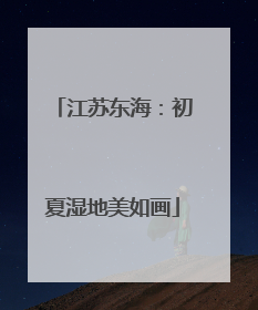 江苏东海：初夏湿地美如画