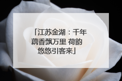 江苏金湖：千年藕香飘万里 荷韵悠悠引客来