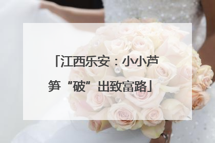 江西乐安：小小芦笋“破”出致富路