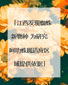 江西发现蜘蛛新物种 为研究呵叻蛛属适应区域提供依据