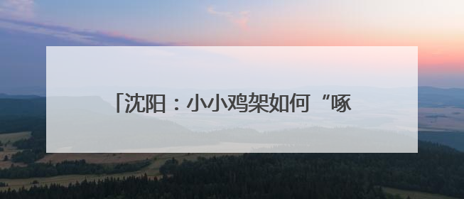 沈阳：小小鸡架如何“啄”开百亿肉鸡全产业链？