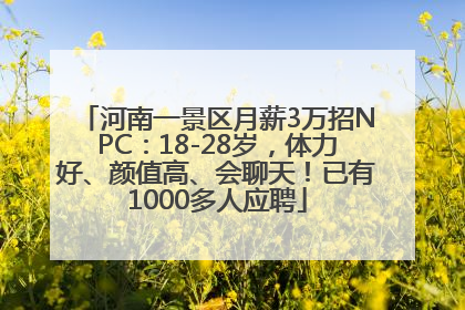 河南一景区月薪3万招NPC：18-28岁，体力好、颜值高、会聊天！已有1000多人应聘