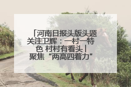 河南日报头版头题关注卫辉：一村一特色 村村有看头 ︳聚焦“两高四着力”·一“县”观察