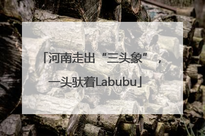 河南走出“三头象”，一头驮着Labubu