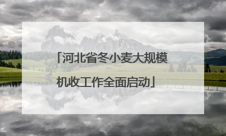 河北省冬小麦大规模机收工作全面启动