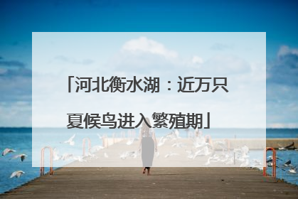 河北衡水湖：近万只夏候鸟进入繁殖期