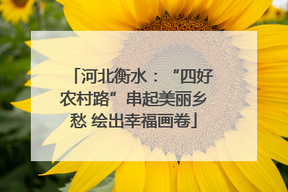 河北衡水：“四好农村路”串起美丽乡愁 绘出幸福画卷