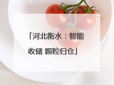 河北衡水：智能收储 颗粒归仓