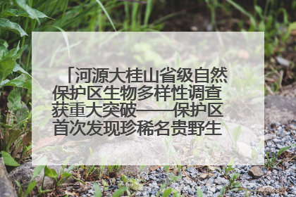 河源大桂山省级自然保护区生物多样性调查获重大突破——保护区首次发现珍稀名贵野生干巴菌与钝尾两头蛇