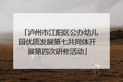 泸州市江阳区公办幼儿园优质发展第七共同体开展第四次研修活动