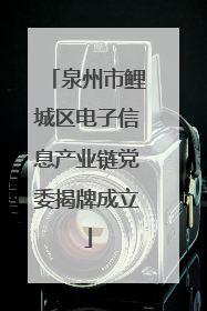泉州市鲤城区电子信息产业链党委揭牌成立