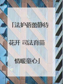 法护蓓蕾静待花开 司法育苗情暖童心