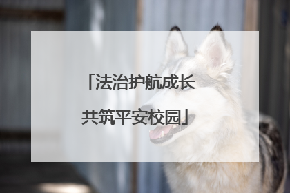 法治护航成长 共筑平安校园