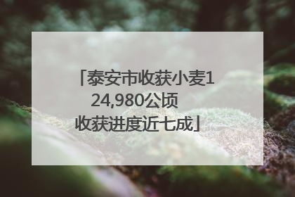 泰安市收获小麦124,980公顷 收获进度近七成