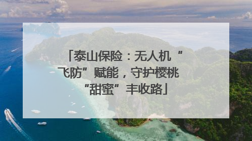 泰山保险：无人机“飞防”赋能，守护樱桃“甜蜜”丰收路