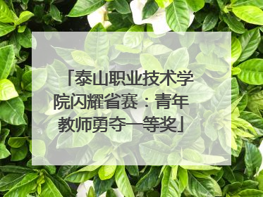 泰山职业技术学院闪耀省赛：青年教师勇夺一等奖