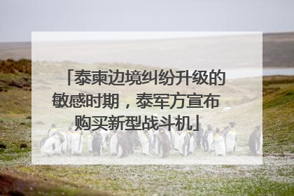 泰柬边境纠纷升级的敏感时期，泰军方宣布购买新型战斗机