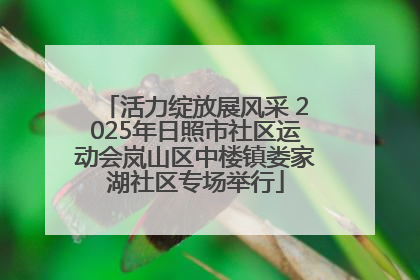 活力绽放展风采 2025年日照市社区运动会岚山区中楼镇娄家湖社区专场举行
