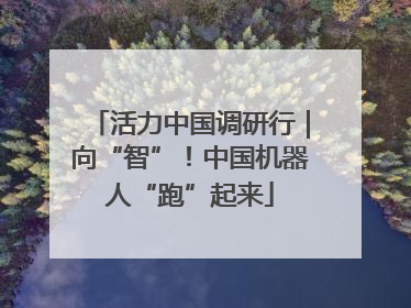 活力中国调研行｜向“智”！中国机器人“跑”起来