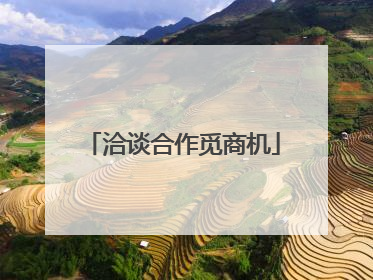 洽谈合作觅商机