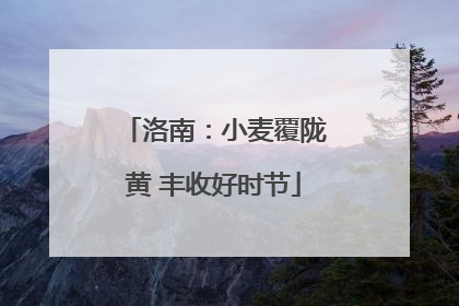 洛南：小麦覆陇黄 丰收好时节
